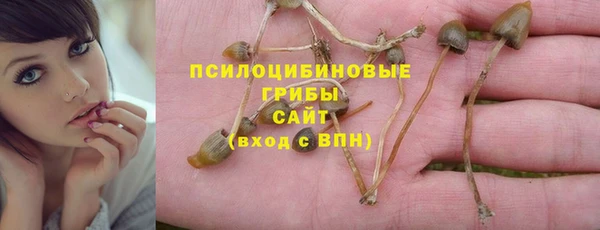прущие крисы Киренск