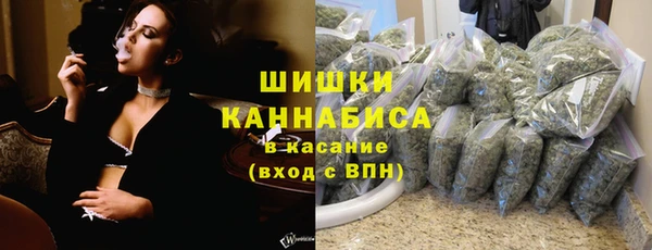 прущие крисы Киренск